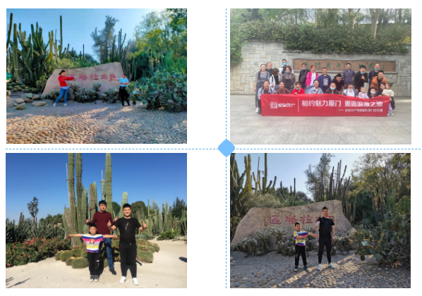 1605512474117073.png image.png